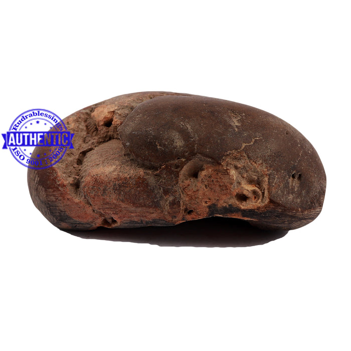Shaligram - 158