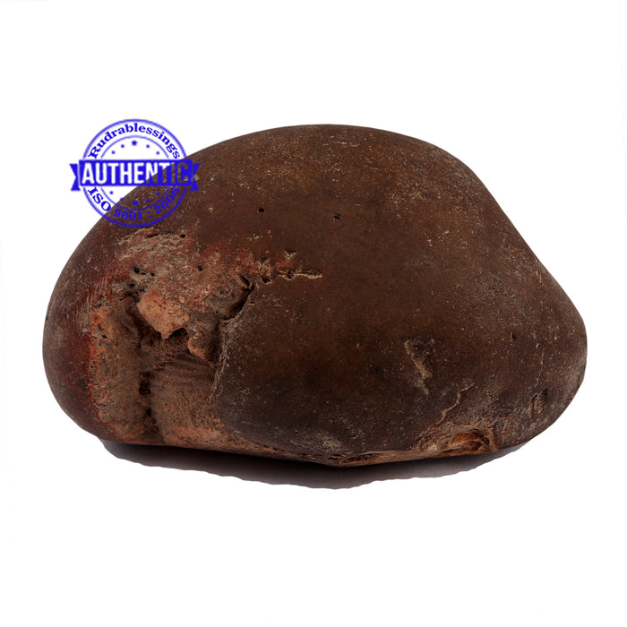 Shaligram - 158