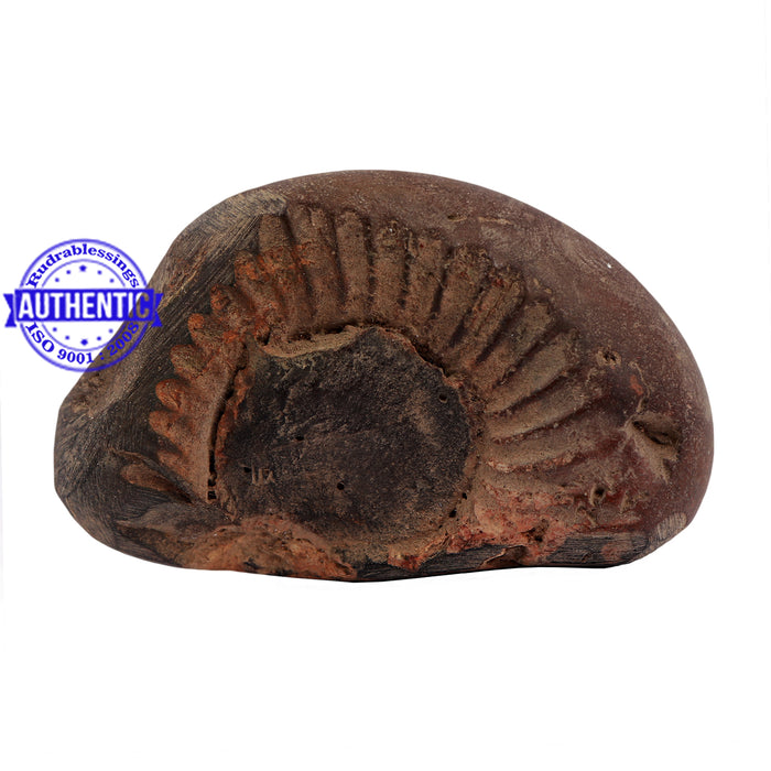 Shaligram - 158