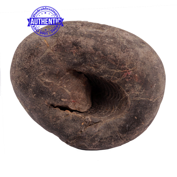 Shaligram - 159