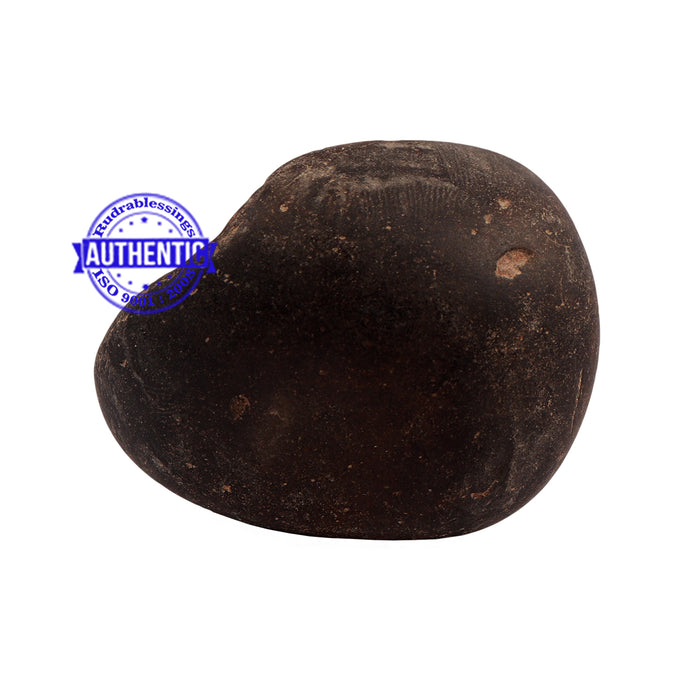 Shaligram - 160