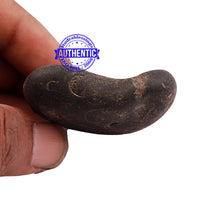 Load image into Gallery viewer, Shaligram - 163
