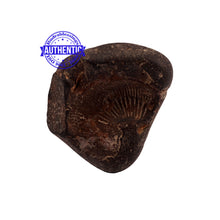 Load image into Gallery viewer, Shaligram - 163
