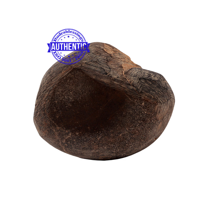 Shaligram - 166