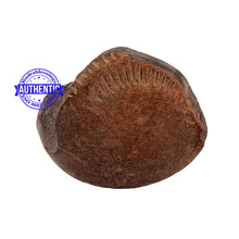 Load image into Gallery viewer, Shaligram - 166
