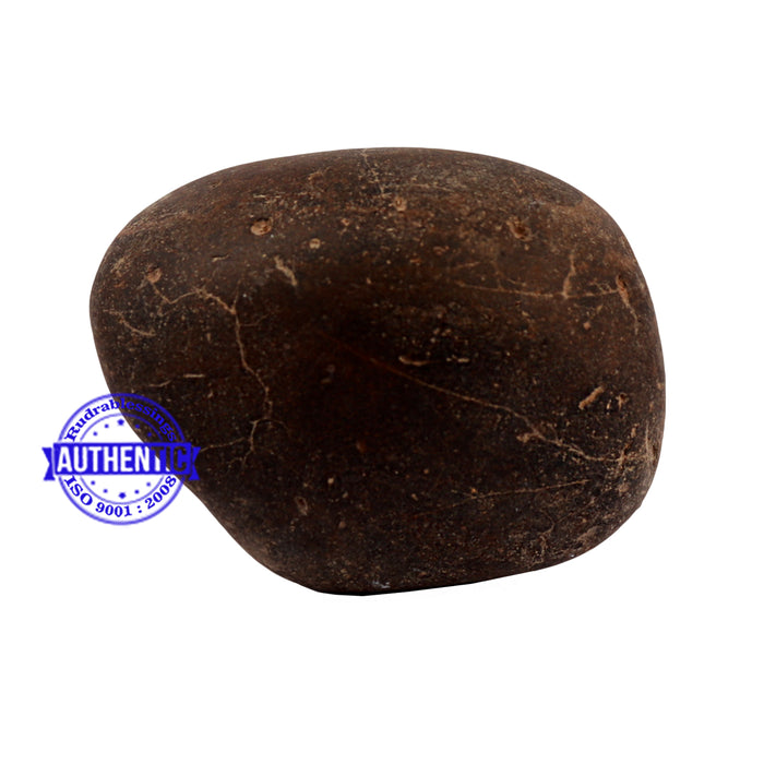 Shaligram - 168