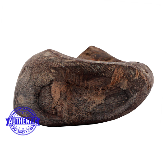 Shaligram - 169