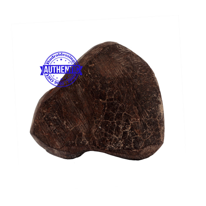 Shaligram - 169
