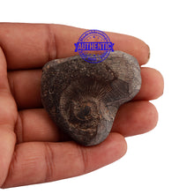 Load image into Gallery viewer, Shaligram - 169
