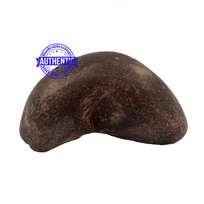 Shaligram - 170