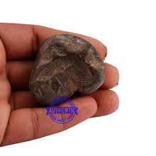 Load image into Gallery viewer, Shaligram - 170
