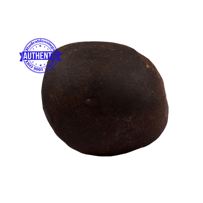 Haldi Chakra Shaligram - 171