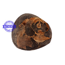 Load image into Gallery viewer, Shaligram - 172
