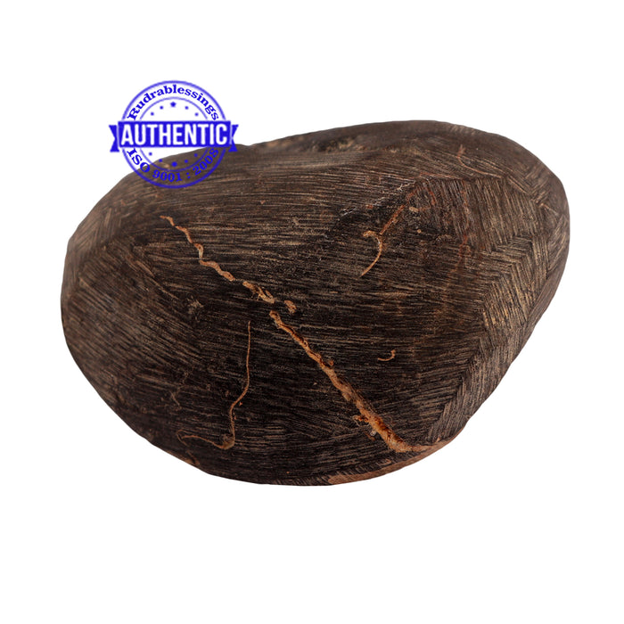 Shaligram - 172