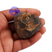Load image into Gallery viewer, Shaligram - 172
