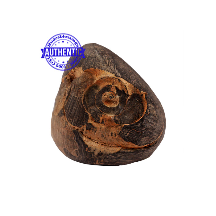 Shaligram - 172