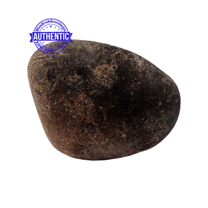 Shaligram - 173