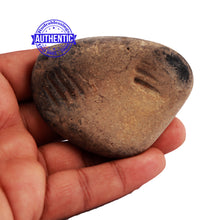 Load image into Gallery viewer, Shaligram - 173
