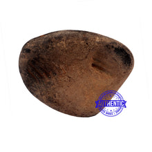 Load image into Gallery viewer, Shaligram - 173
