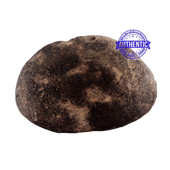 Shaligram - 177