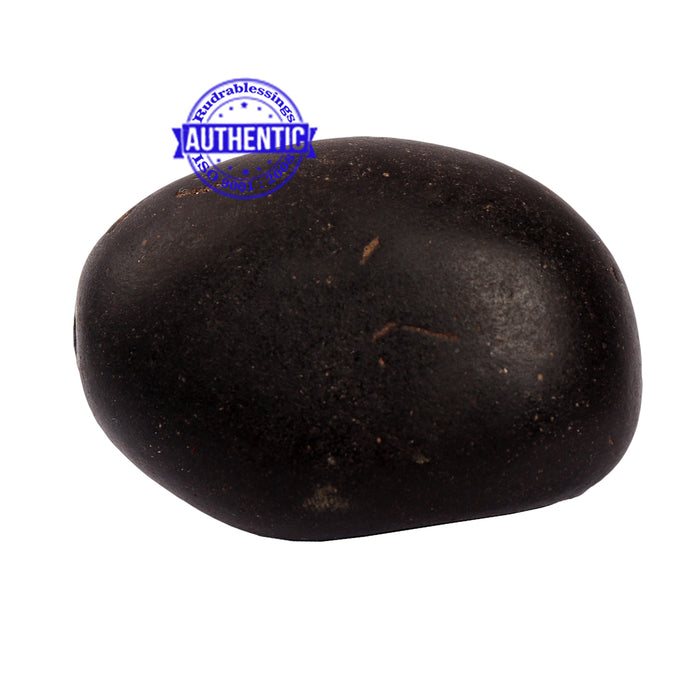 Shaligram - 181
