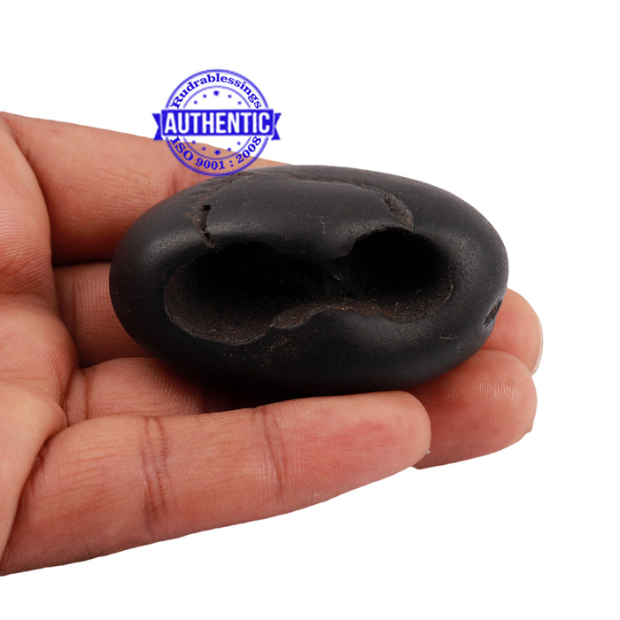 Shaligram - 181