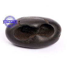 Load image into Gallery viewer, Shaligram - 181
