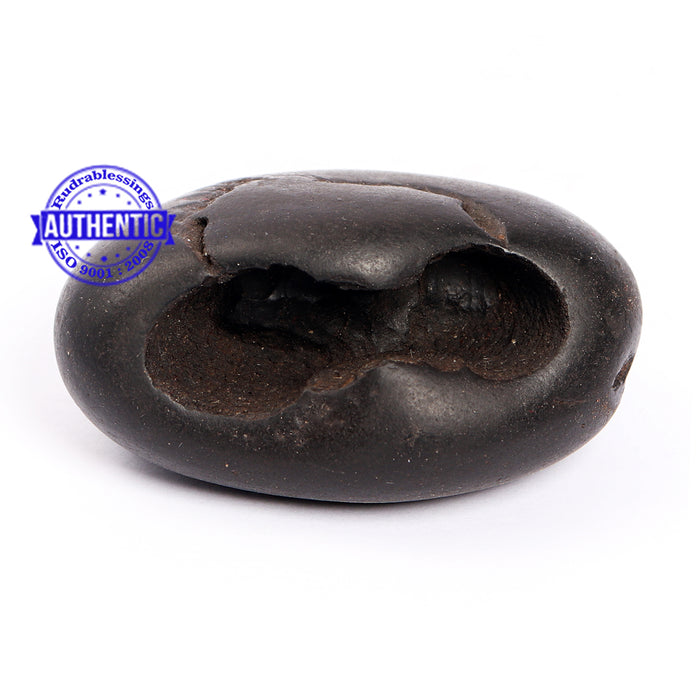 Shaligram - 181