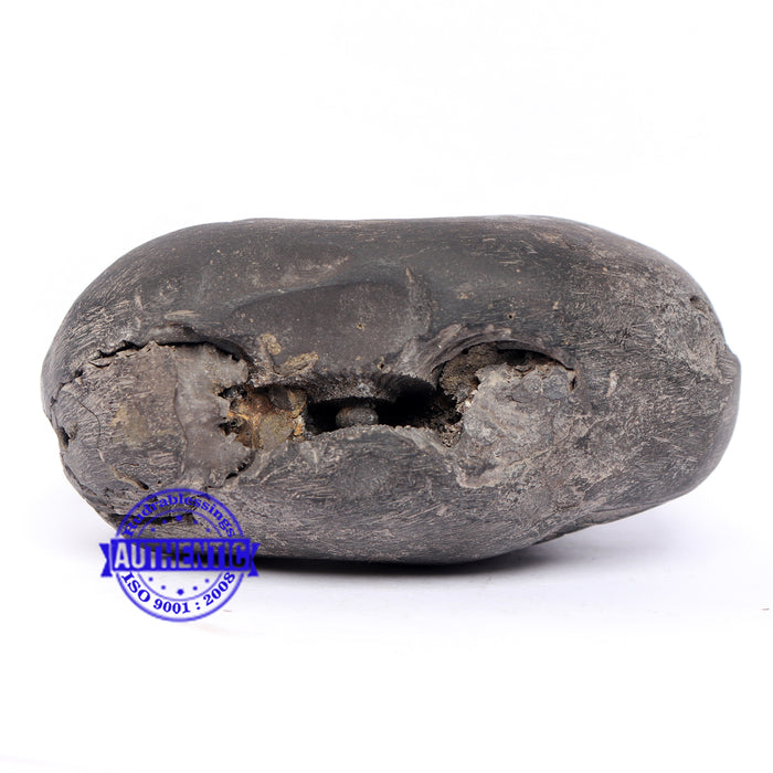 Shaligram - 185