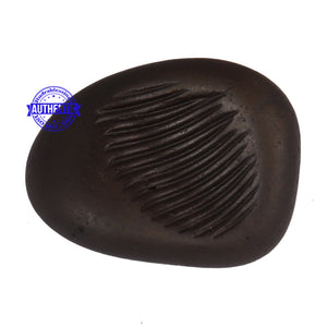 Shaligram - 49