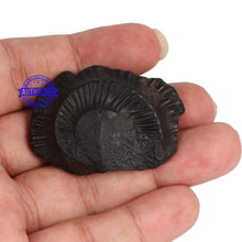 Load image into Gallery viewer, Shaligram - 52
