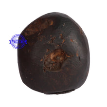 Load image into Gallery viewer, Shaligram - 53
