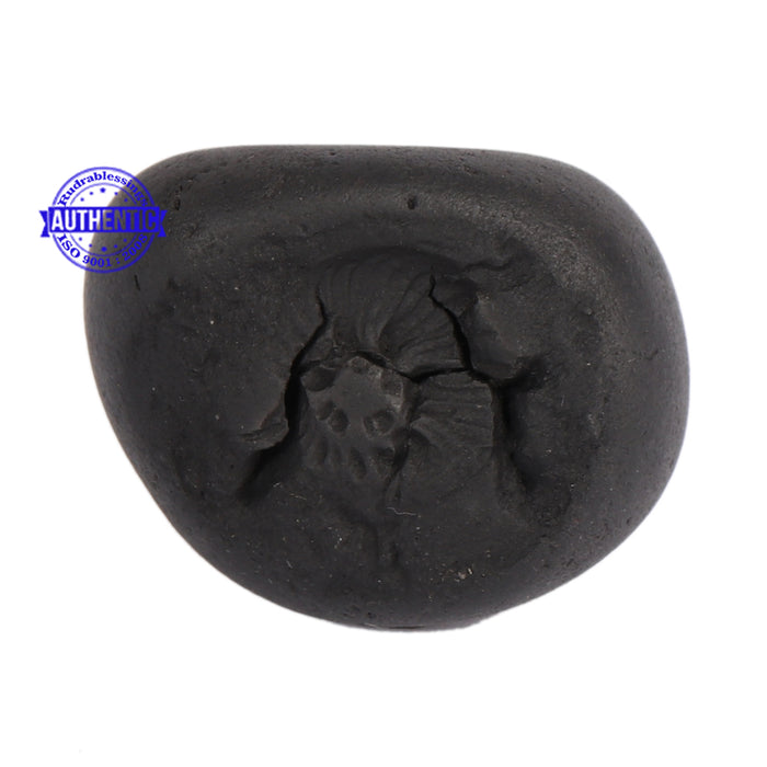 Narsimha Shaligram - 55