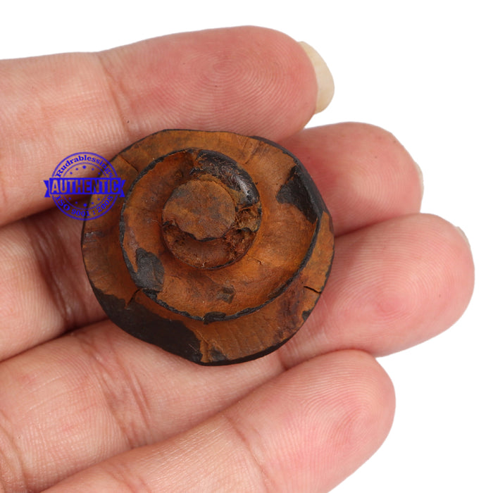 Janardhana Murthy Shaligram - 56