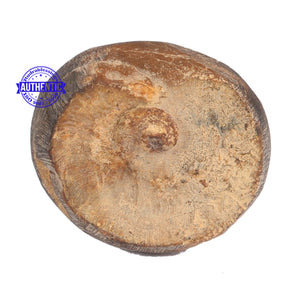 Janardhan Murthy Shaligram - 58