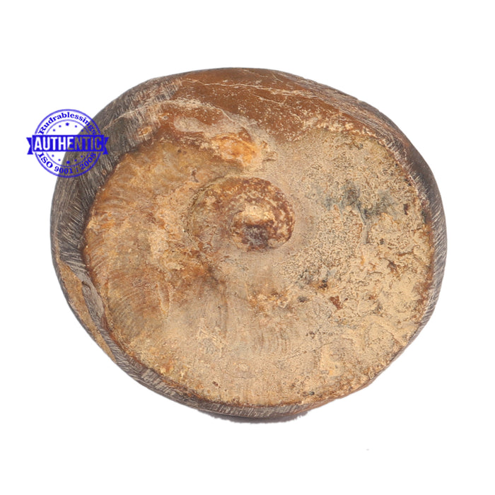 Janardhan Murthy Shaligram - 58