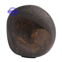 Load image into Gallery viewer, Shaligram - 62
