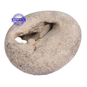 Lakshmi Gopal Murthy Shaligram - 65