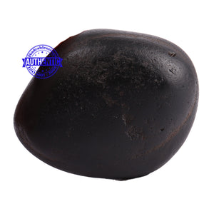 Santan Gopal Shaligram - 83