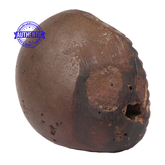 Sudarshan Shaligram - 87