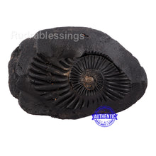 Load image into Gallery viewer, Shaligram - 27
