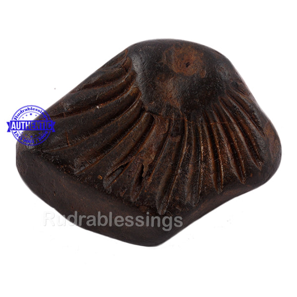 Shaligram - 28