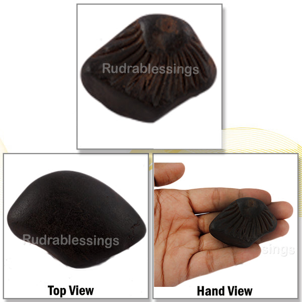 Shaligram - 28