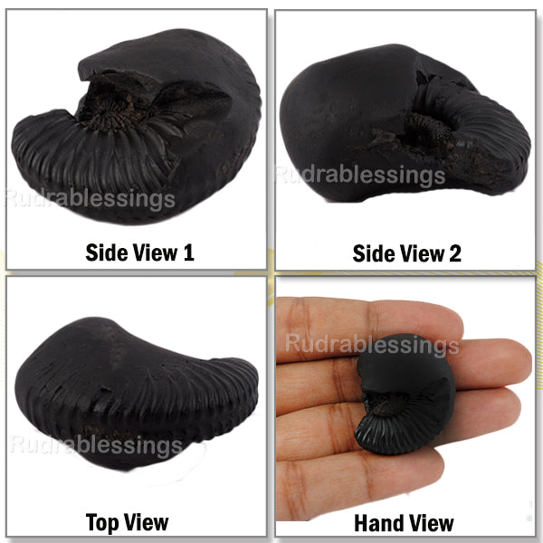 Shaligram - 29