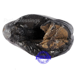 Shaligram - 30