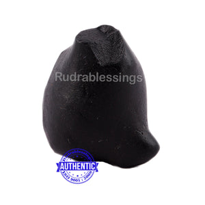 Shaligram - 40