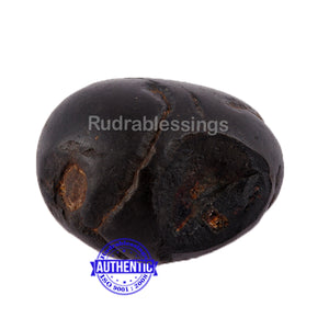 Shaligram - 41