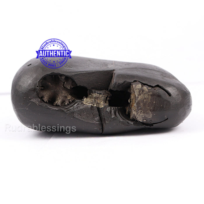 Aksha Narsimha Shaligram - 117