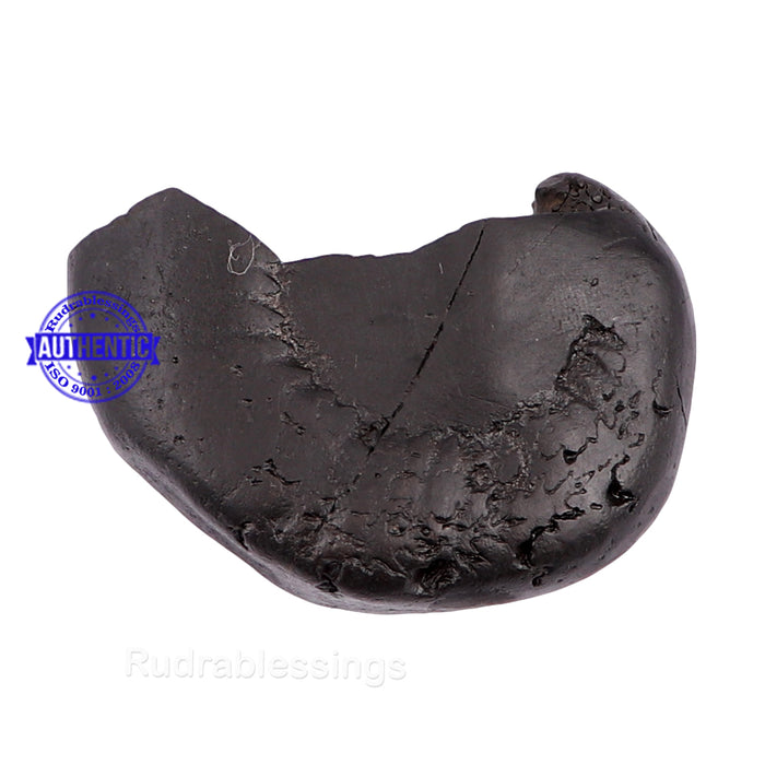 Sesh Narsimha Shaligram - 119
