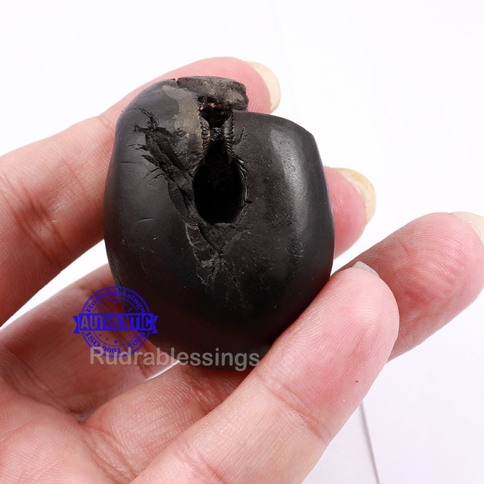 Shaligram - 124